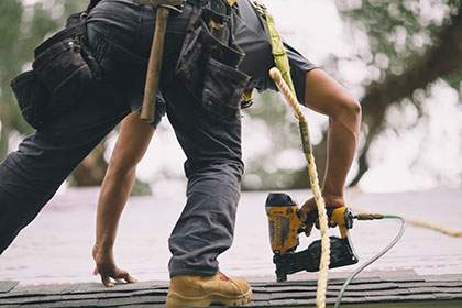 Tadlock Candid and Field