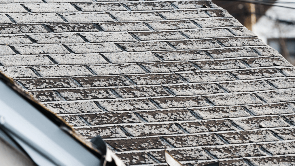 What Does Granular Loss Mean For Your Roof Tadlock Roofing