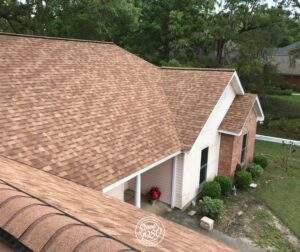 shiney shingles